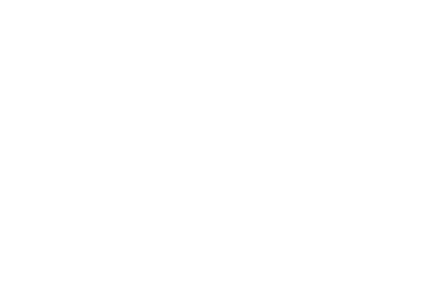 Establecimiento Don Victor